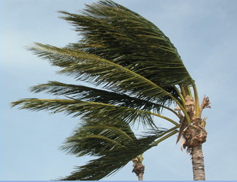 hurricane